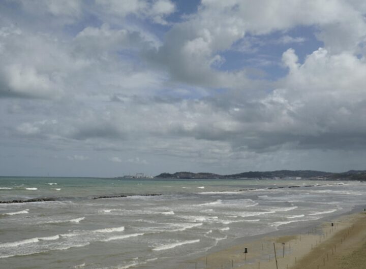 Mare
