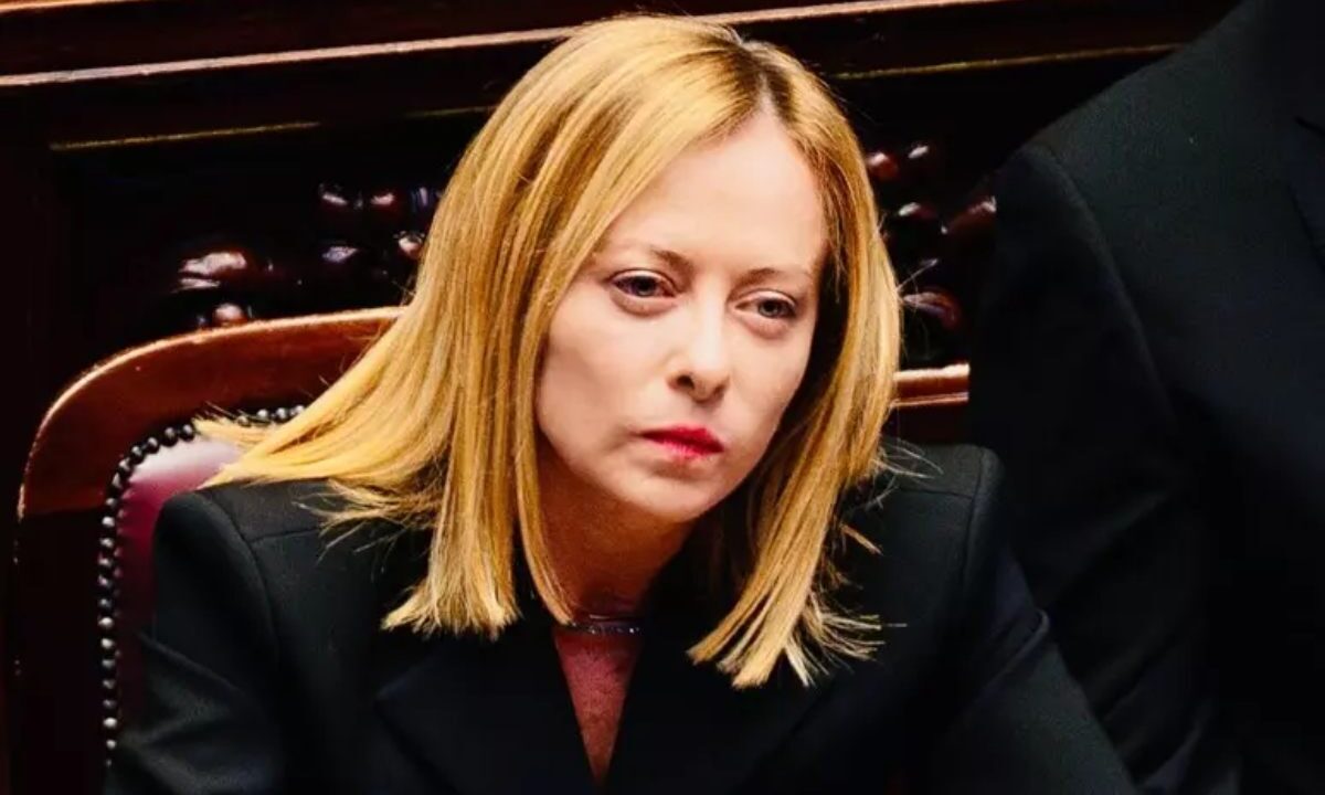 meloni