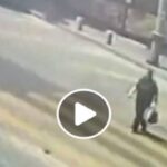 Il video della donna che a Napoli viene investita da uno scooter mentre attraversa sulle strisce