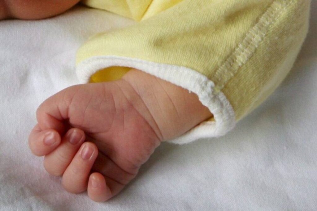 "L'abbiamo coccolata". Neonata nella Culla per la Vita a Bologna trovata dalle suore