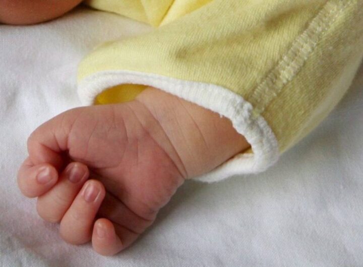 "L'abbiamo coccolata". Neonata nella Culla per la Vita a Bologna trovata dalle suore