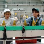 operaie al lavoro