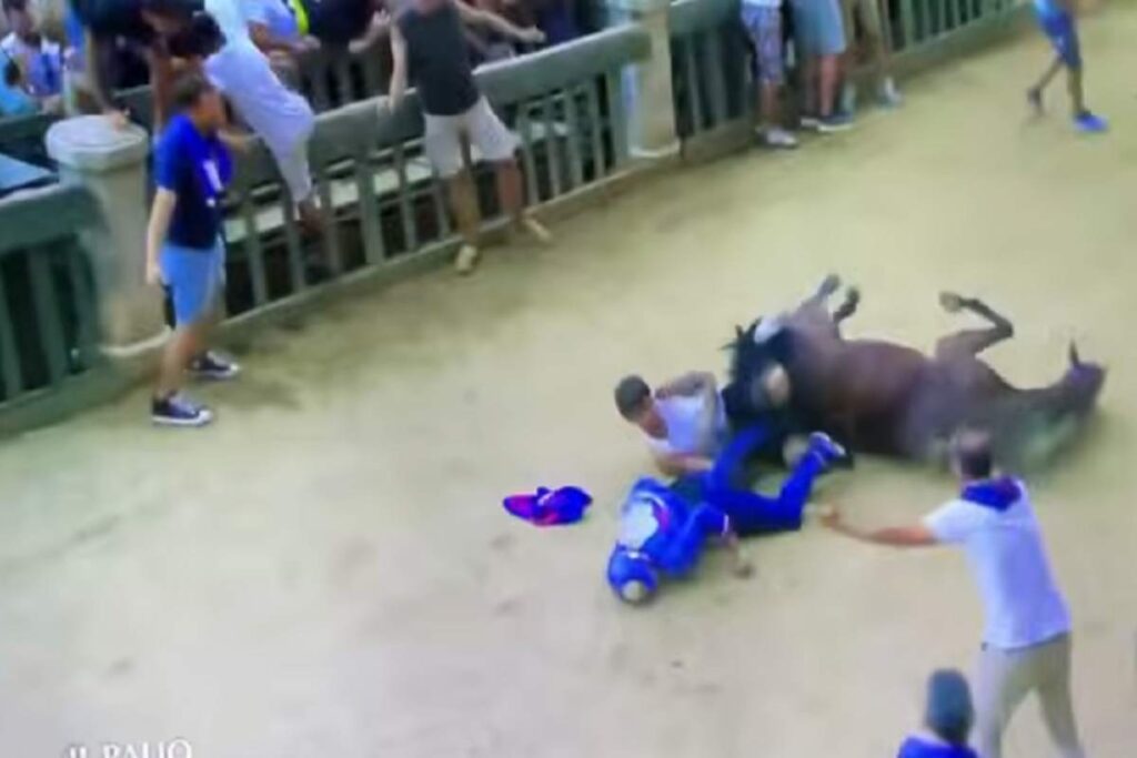 L'incidente sul traguardo del Palio di Siena