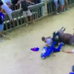 L'incidente sul traguardo del Palio di Siena