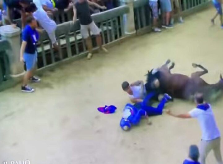 L'incidente sul traguardo del Palio di Siena