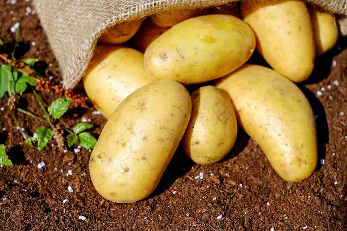 delle patate