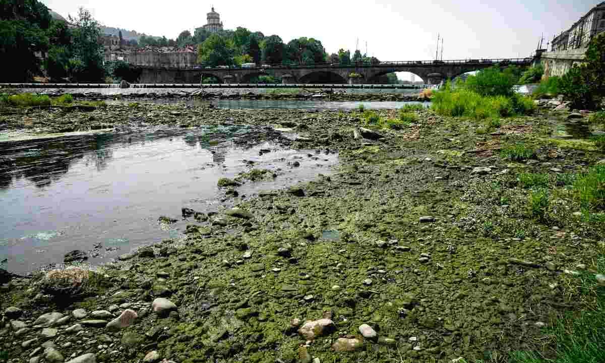 Il fiume Po in secca, all'altezza del ponte Vittorio, dove si sono formate degli isolotti per la drastica diminuzione della portata dovuta alla prolungata siccità