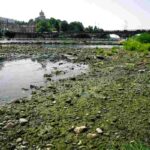 Il fiume Po in secca, all'altezza del ponte Vittorio, dove si sono formate degli isolotti per la drastica diminuzione della portata dovuta alla prolungata siccità
