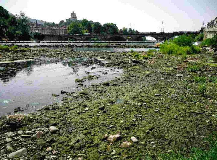 Il fiume Po in secca, all'altezza del ponte Vittorio, dove si sono formate degli isolotti per la drastica diminuzione della portata dovuta alla prolungata siccità