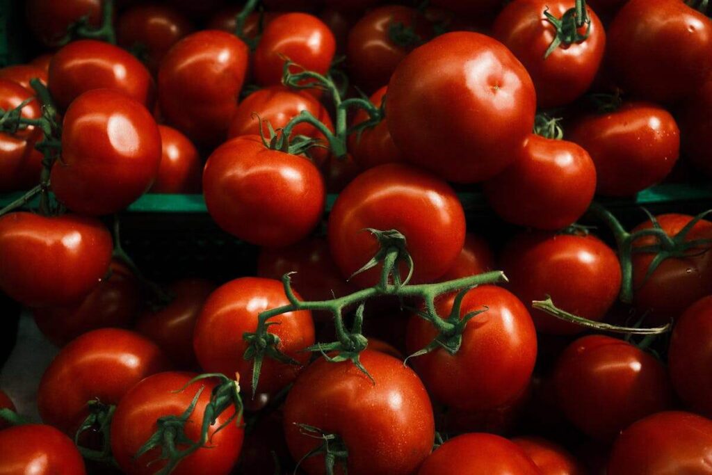 grappoli di pomodori
