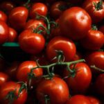 grappoli di pomodori