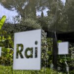 Rai