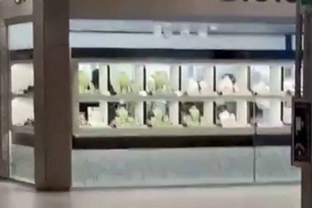 Il video della rapina nella gioelleria di Sant'Angelo Lodigiano avvenuta in pieno giorno