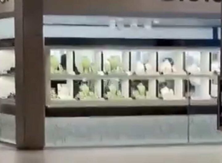 Il video della rapina nella gioelleria di Sant'Angelo Lodigiano avvenuta in pieno giorno