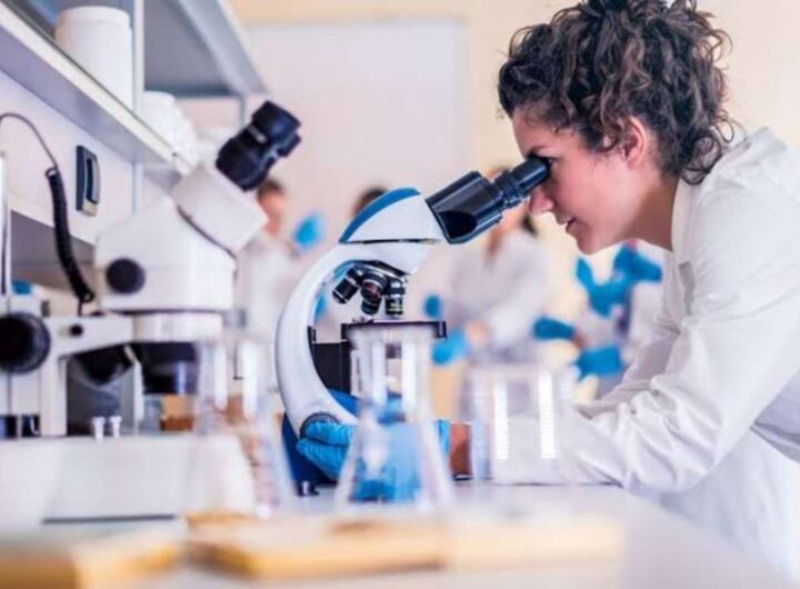 ricercatori medicina
