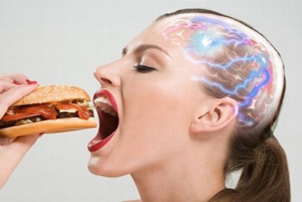 circuiti neuronali della ricompensa