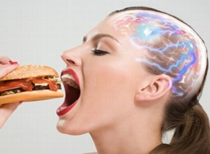 circuiti neuronali della ricompensa