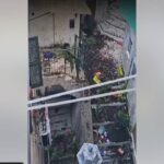 Un uomo alto quasi due metri semina il panico ad Olevano Romano: "Ha distrutto tutto". Feriti quattro carabinieri e il sindaco