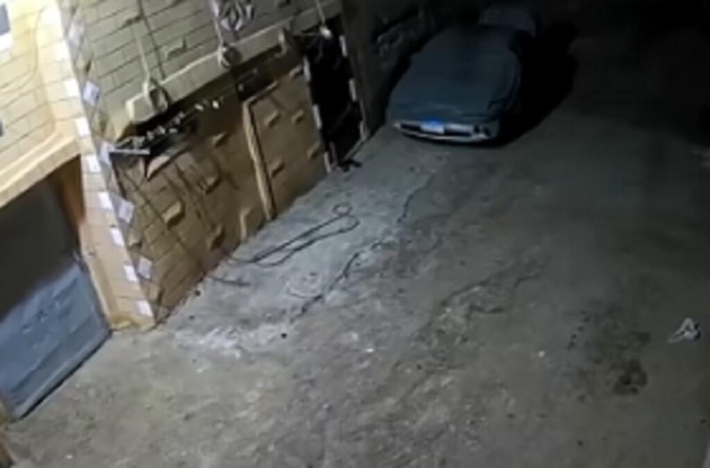 Gente in strada in Egitto per la scossa di terremoto