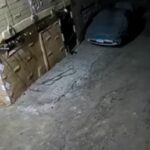 Gente in strada in Egitto per la scossa di terremoto
