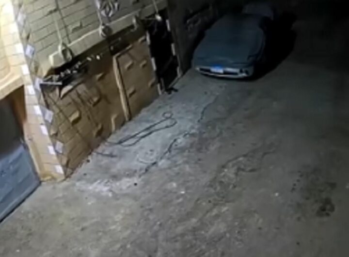 Gente in strada in Egitto per la scossa di terremoto
