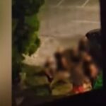 Il video dei naziskin che a Sofia tentano l'assalto ad un hotel che ospita dei giovani ebrei romani