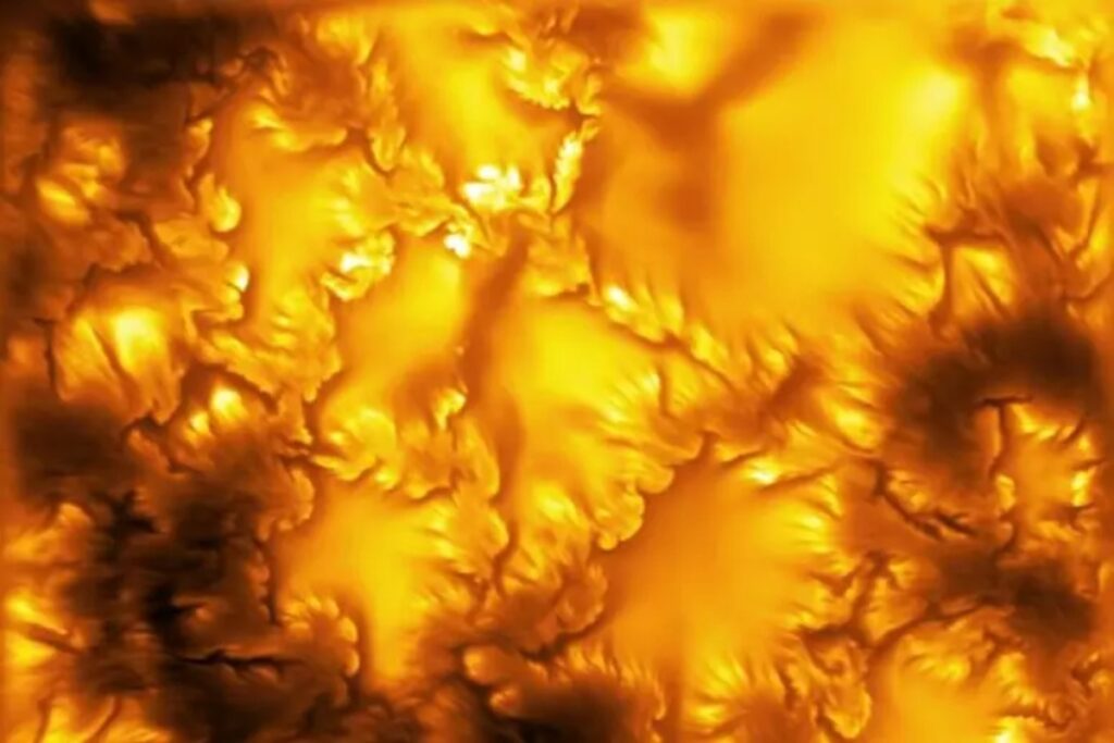 sole in 3d