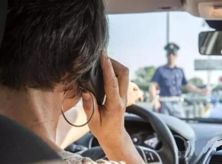 La multano per telefono alla guida, lei querela i Carabinieri: "Era una zucchina". La Corte d'Appello le dà torto