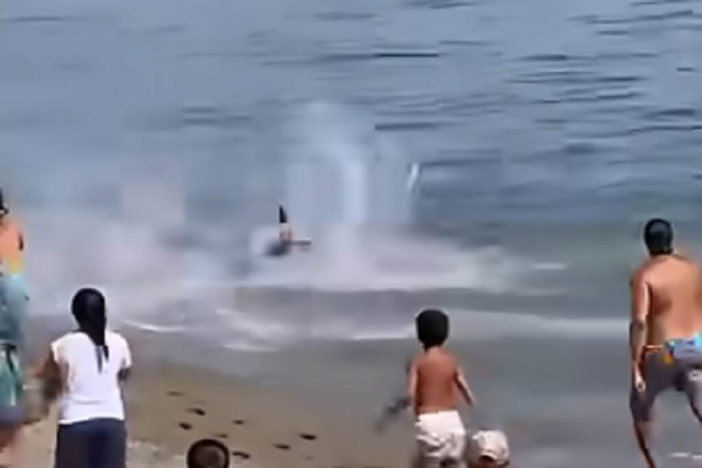 Il video del bagnante che pensa di essere inseguito da uno squalo (ma era un tonno)