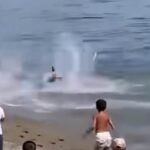 Il video del bagnante che pensa di essere inseguito da uno squalo (ma era un tonno)