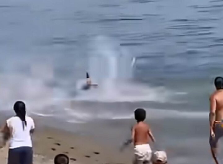 Il video del bagnante che pensa di essere inseguito da uno squalo (ma era un tonno)