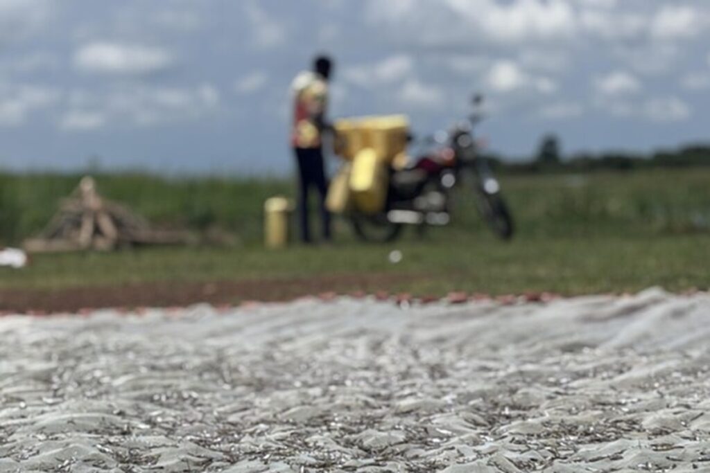 Uganda