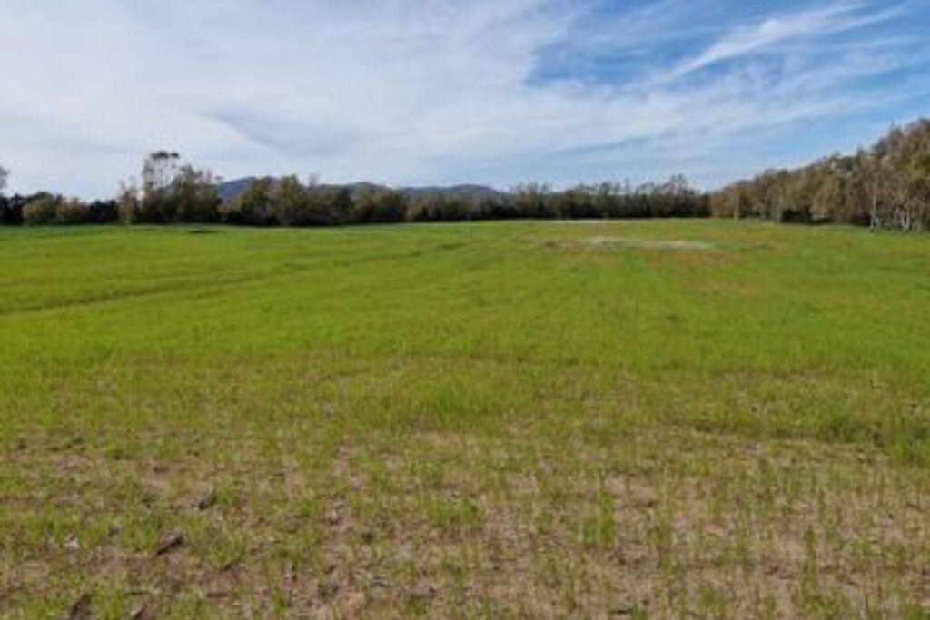 terreno agricolo