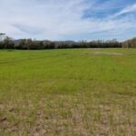 terreno agricolo