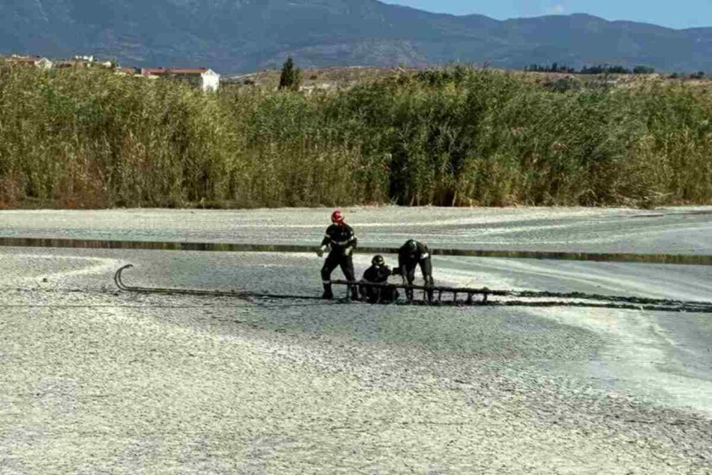 Parco di Molentargius