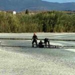 Parco di Molentargius