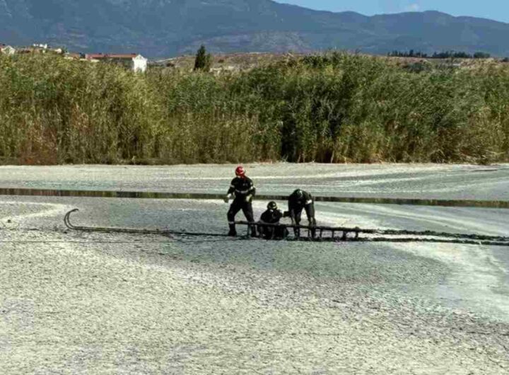 Parco di Molentargius