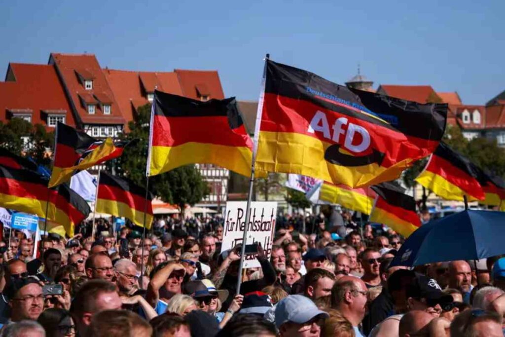 Bandiere dell'AfD