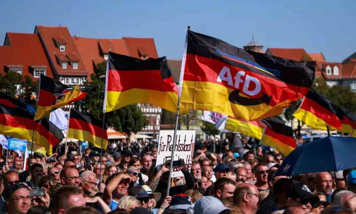 Bandiere dell'AfD