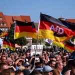 Bandiere dell'AfD