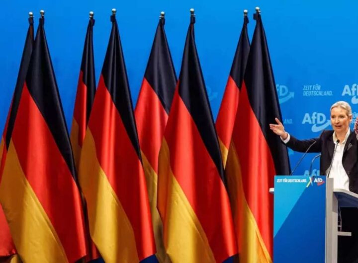 AfD con le bandiere tedesche