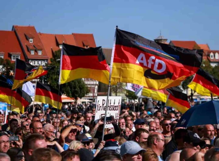 Bandiere dell'AfD