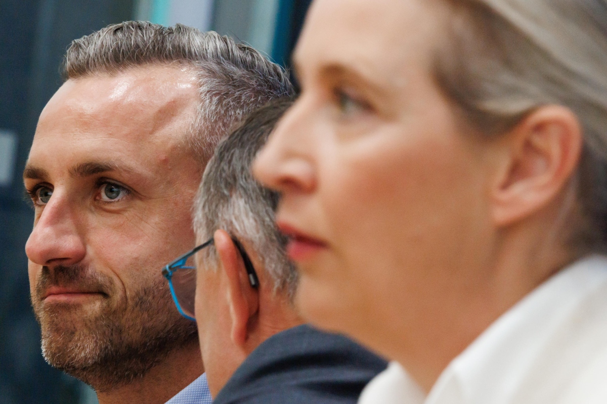 afd leader