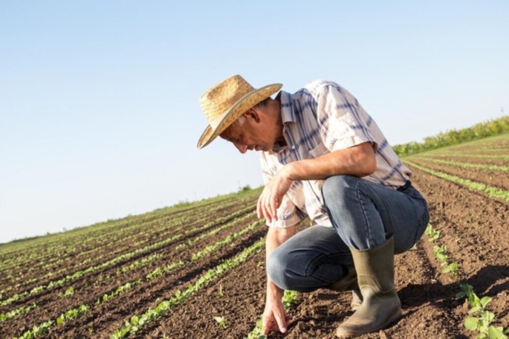 agricoltore