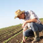agricoltore