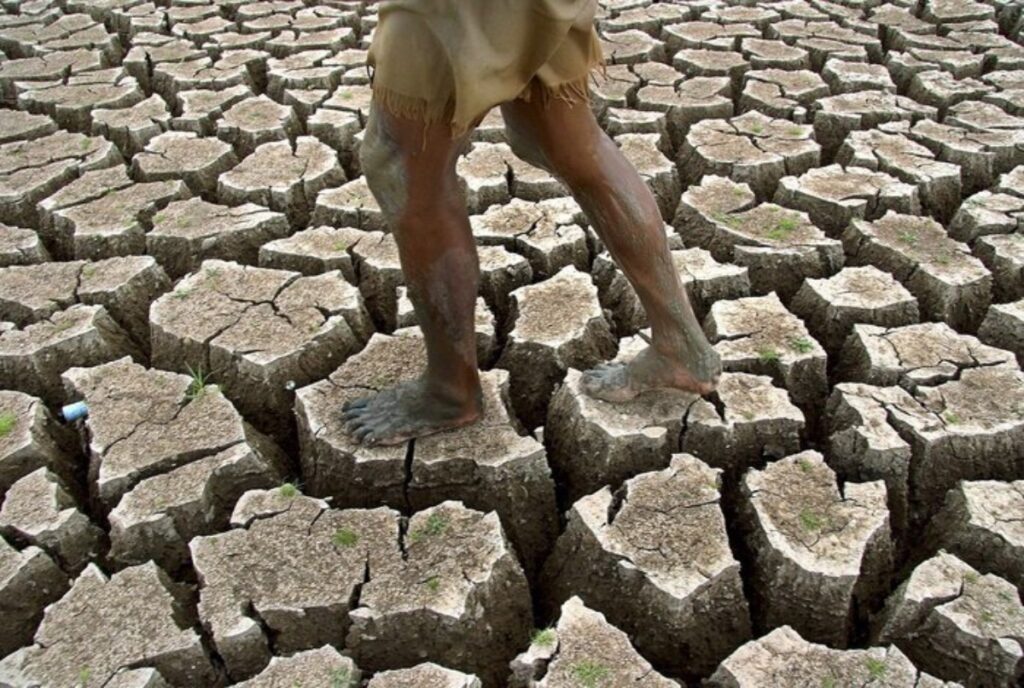 desertificazione