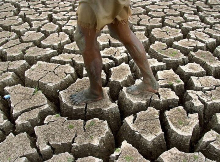 desertificazione