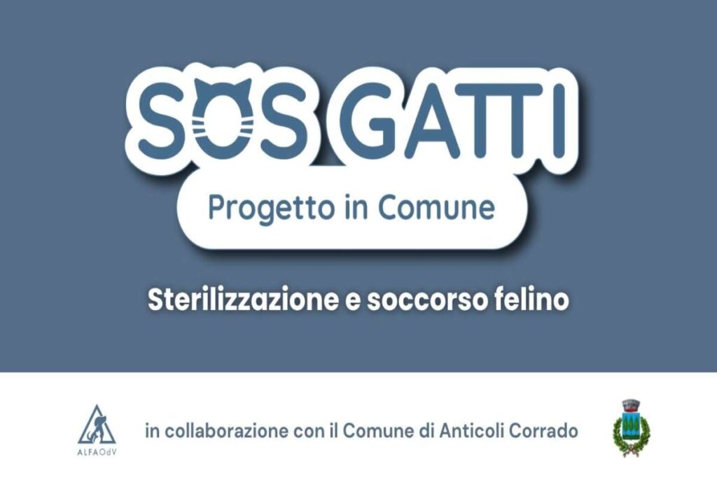 Comunicato Alfa