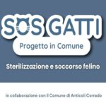 Comunicato Alfa