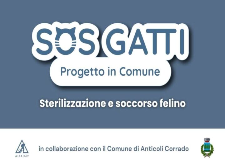 Comunicato Alfa